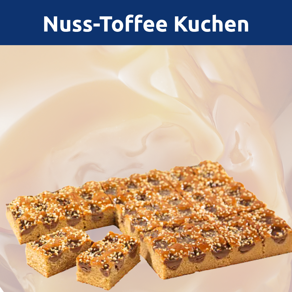 Käse Madarinen Blechuchen